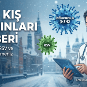 2026 kış sezonu salgın rehberi: H3N2 grip, RSV ve COVID-19 virüslerinden korunma ve belirti infografiği